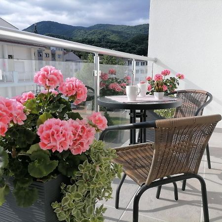 Appartamento Svjetlanalex 2 Banja Koviljača Esterno foto